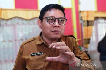 Pulang Pisau belum miliki TPS induk