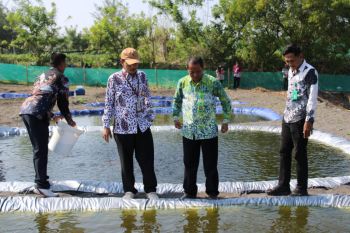 Kulon Progo bentuk dua desa maritim di kawasan pesisir