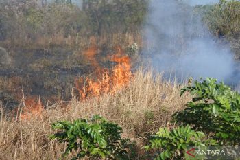 Penjabat Wali Kota Kupang diminta warga waspada kebakaran lahan