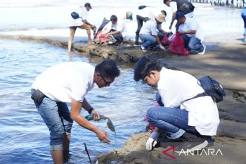 Ratusan relawan PLN gelar aksi bersih, Pantai Air Manis semakin biru berkilau