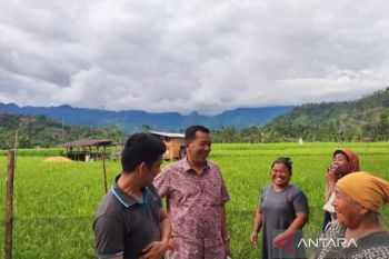 Bupati Pesisir Selatan : KUR pertanian langkah tepat membangun daerah