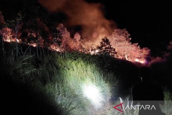 Dua hektare hutan dan lahan terbakar di Aceh Besar