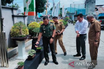 Rejang Lebong gelar pameran bonsai peringatan Hari Lingkungan Hidup Sedunia