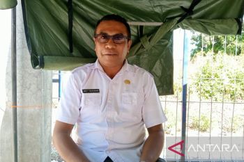 Pemkot Kupang dorong warga vaksin anjing peliharaan cegah rabies