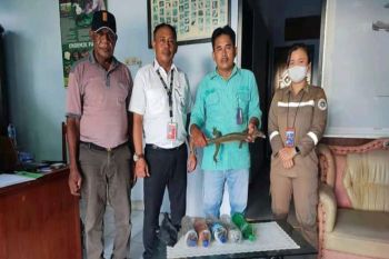 Karantina Pertanian Jayapura imbau warga jaga keanekaragaman hayati Papua