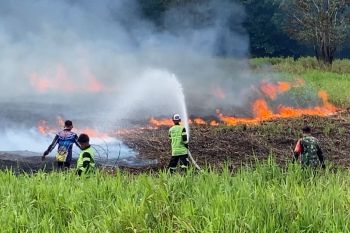 Kapasitas relawan damkar terus ditingkatkan, optimalkan penanganan karhutla di Kalteng