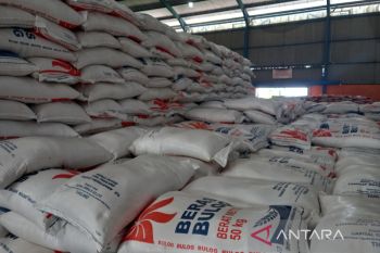 Pemprov Bengkulu: Ketersediaan beras cukup hingga enam bulan ke depan