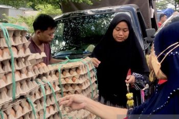 Asosiasi Distributor Batam siapkan 4 truk telur ayam pada operasi pasar