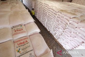 Pupuk Kujang: Stok pupuk bersubsidi di Jabar dan Banten aman