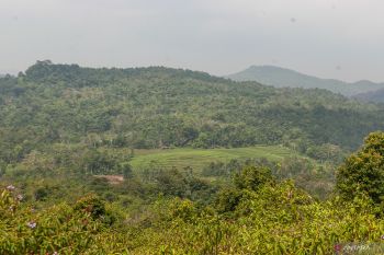 Cegah bencana ekologis, BPBD Lebak ajak masyarakat lestarikan hutan