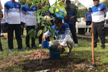 24 wali kota tanam pohon bersama tutup rangkaian Raker APEKSI