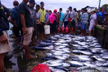 BPS: Jepang negara tujuan ekspor terbesar Papua Mei 2023