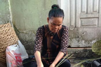 Daun nipah  bawa berkah