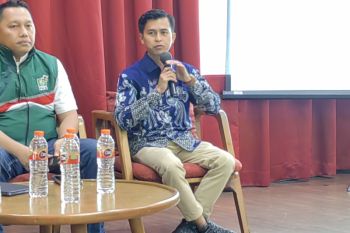 Jika PPP bergabung PDIP, sangat jenius