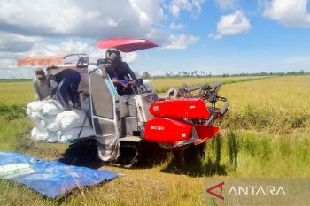 DKPP Seruyan upayakan peningkatan akses menuju lahan pertanian masyarakat