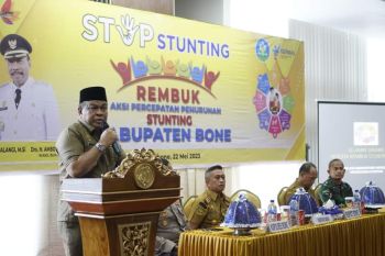 Bupati Bone mendorong Perpusnas bantu perpus desa tingkatkan literasi