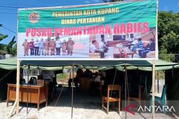 Pemkot Kupang gencar sosialisasi cegah penularan rabies