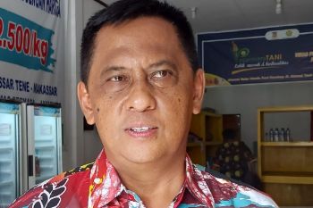 Pemprov Papua siapkan paramedik periksa hewan kurban