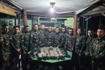 Satgas Pamtas RI-PNG gagalkan penyelundupan 8,25 kilogram ganja kering