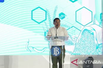 Kepala NFA tekankan soal kerja sama antardaerah jaga ketahanan pangan