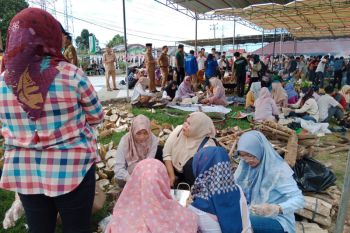 Seluma gelar pesta durian lewat Festival Melempuk
