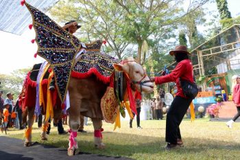 Bupati Ipuk: Kontes hewan ternak jadi ajang promosi peternakan