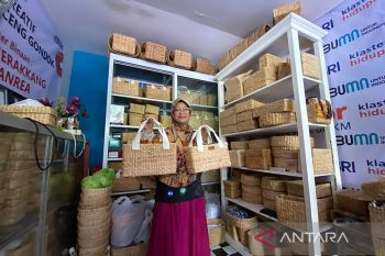 Eceng gondok buka tabir perempuan berkarya