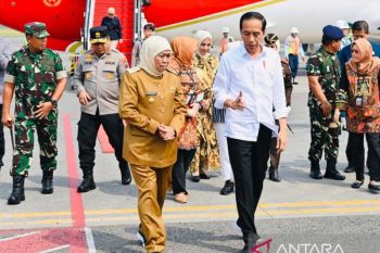 Presiden Jokowi akan meninjau smelter Freeport dan pabrik foil tembaga di Gresik