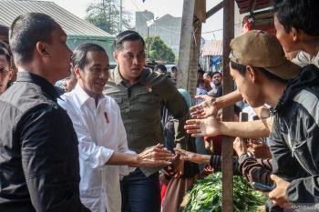 Jokowi: Harga bahan pokok masih stabil jelang Idul Adha
