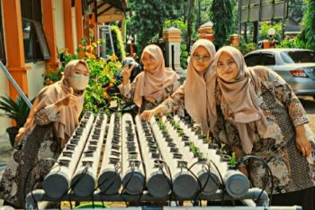 "Urban farming" solusi atasi krisis pangan perkotaan