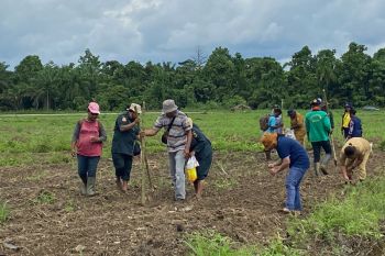 Pemkab Keerom berdayakan petani percepat penanaman jagung 3.000 hektare