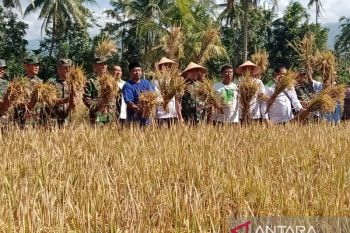 HKTI Jember ajak petani tak berhenti berinovasi