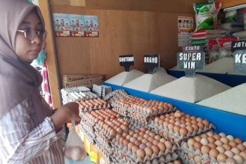 Disperindag Sulteng: ketersediaan bahan pokok aman jelang Idul Adha