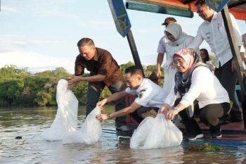 Pemkot Palangka Raya berupaya tingkatkan jumlah ikan di dua danau