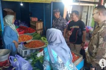 Kalsel kemarin, ketersediaan pangan di Kotabaru hingga rumah asri pokdarlis