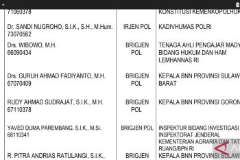 Pengamat kritisi Polri naikkan pangkat Rizal Irawan jadi Brigjen