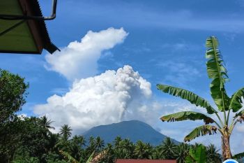 Gunung Ibu luncurkan abu setinggi 1.000 meter ke timur laut