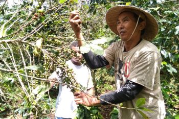 Danone Aqua dukung petani kopi dan konservasi air