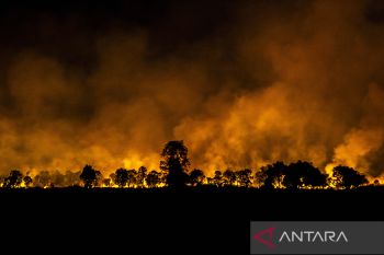 Karhutla di Kalsel Semakin Meluas