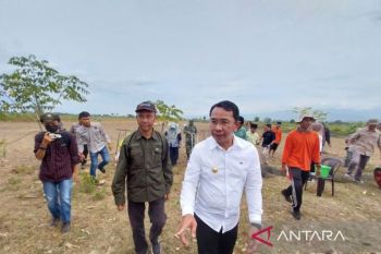 Pemkab Sigi tingkatkan kualitas irigasi untuk membantu petani