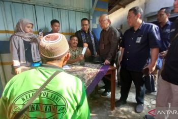 Petani Babel antusias tebus pupuk melalui aplikasi "I-Pubers"