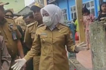 Hewan kurban Idul Adha 2023 di Palembang bebas PMK