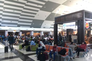 Bandara Sentani melayani 4.510 penumpang jelang libur  Idul Adha