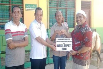 Pemkab Belu serahkan bantuan empat ekor hewan kurban