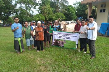 Kurban PTPN VII: "Menjalin harmoni lingkungan kerja"