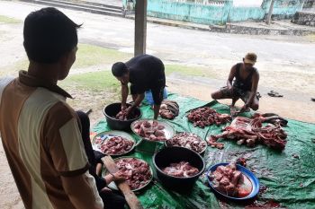Pemprov Kepri berkurban 30 ekor sapi