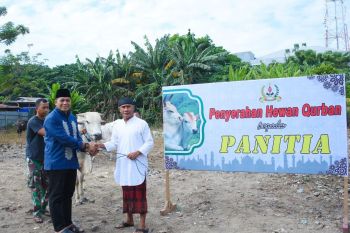 Korem 132/Tadulako serahkan 17 hewan kurban kepada panitia kurban