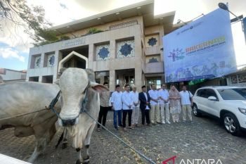 Prabowo salurkan puluhan hewan kurban di Jawa Timur