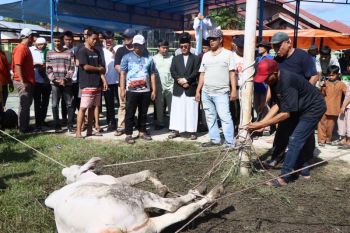 Penjabat Bupati Kampar harap pembagian daging kurban merata