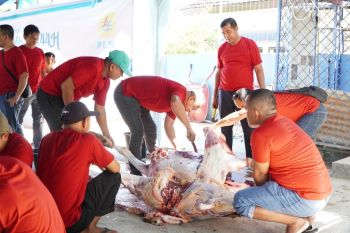Bukti keikhlasan dan pengorbanan, pegawai PLN Sumbar salurkan 34 ekor hewan kurban